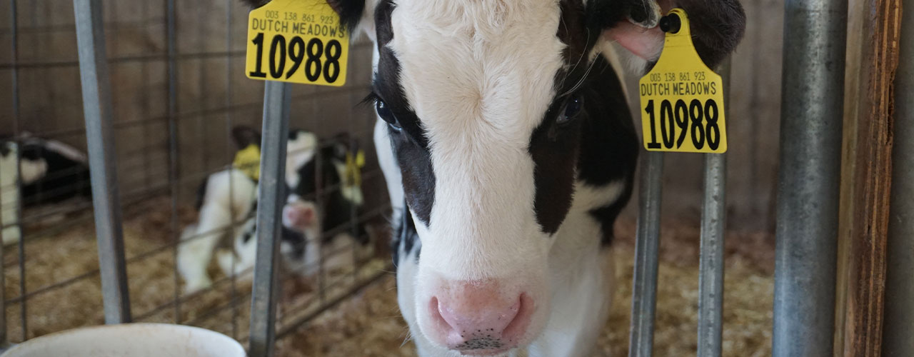hero feeding whole milk