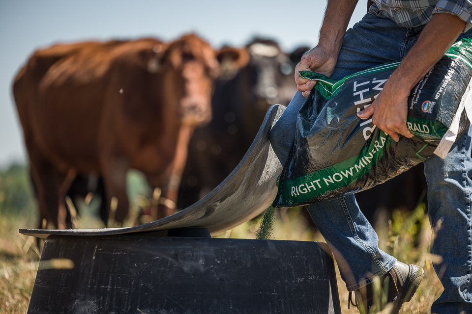 Right Now Mineral Lander Image Right Now Mineral Lander Image