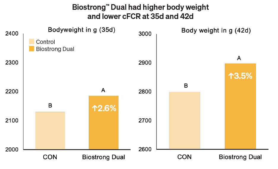 Poultry_BiostrongDual_Figure1