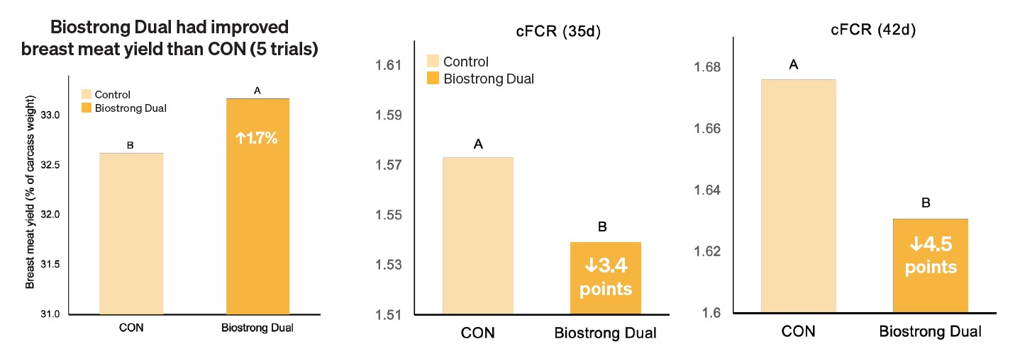 Poultry_BiostrongDual_Figure2